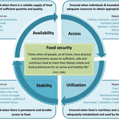 A Closer Look at the Four Pillars of Food&nbsp;Security