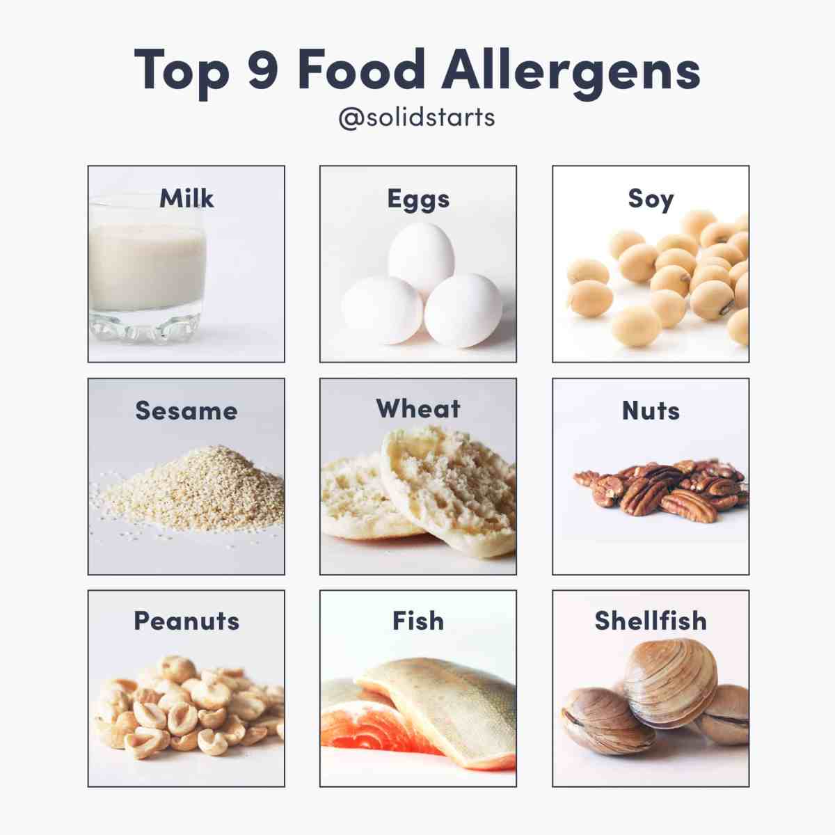 A Closer Look at the Most Common&nbsp;Allergens